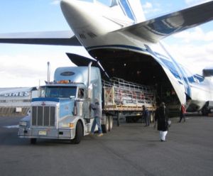UTrans Logistics air carriage/transportation